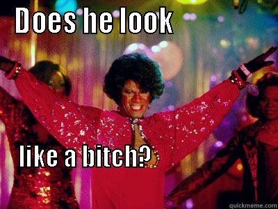 Does he? - DOES HE LOOK                   LIKE A BITCH?                                                                                 Misc