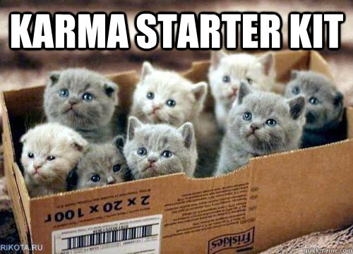 karma starter kit   - karma starter kit    Box of Kittens