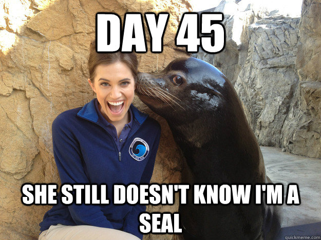 day 45 she still doesn't know i'm a seal  Crazy Secret