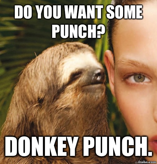 Do you want some punch? Donkey punch.  rape sloth