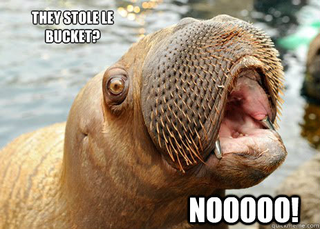 NOOOOO! They stole le bucket? They stole le bucket?
 - NOOOOO! They stole le bucket? They stole le bucket?
  screaming walrus
