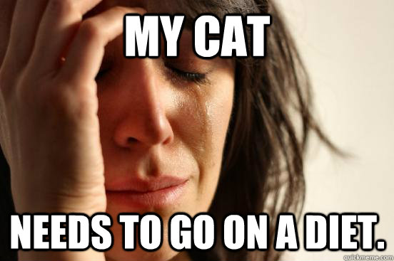 My Cat Needs to go on a diet.  First World Problems
