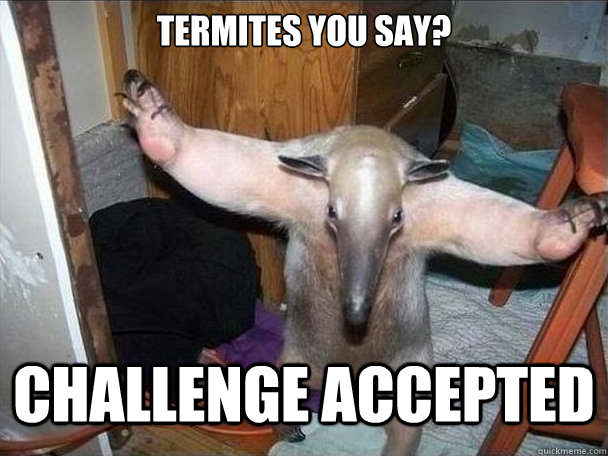 Termites you say? CHALLENGE ACCEPTED  I got this