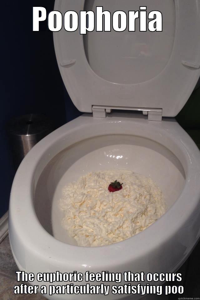 Meme this shit! - POOPHORIA THE EUPHORIC FEELING THAT OCCURS AFTER A PARTICULARLY SATISFYING POO Misc