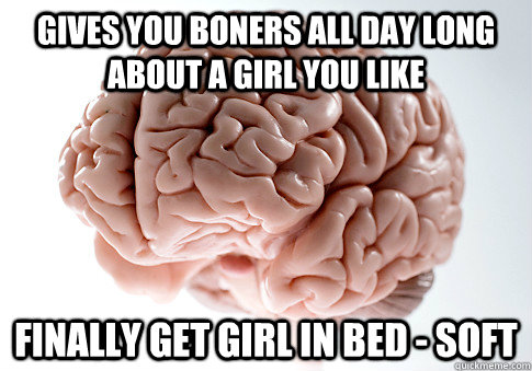 Gives you boners all day long about a girl you like finally get girl in bed - soft  Scumbag Brain