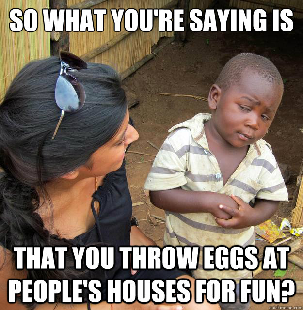 So what you're saying is that You throw eggs at people's houses for fun?  Skeptical Third World Baby