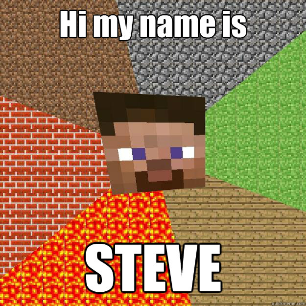 Hi my name is STEVE  Minecraft