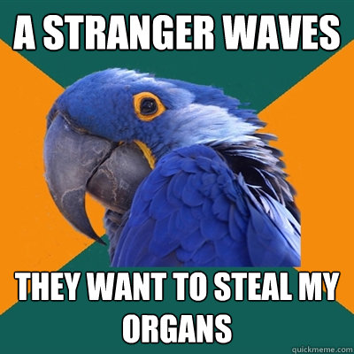 a stranger waves they want to steal my organs  Paranoid Parrot
