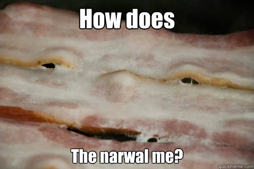 How does The narwal me? - How does The narwal me?  10 Bacon