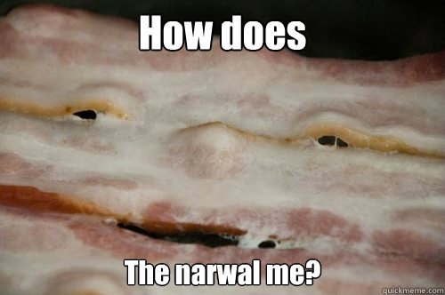 How does The narwal me?  10 Bacon