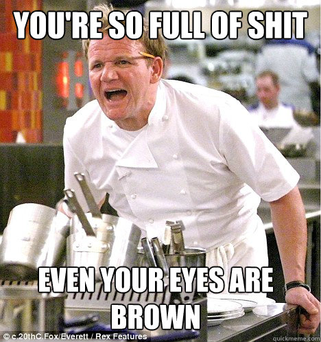 you're so full of shit even your eyes are brown  gordon ramsay