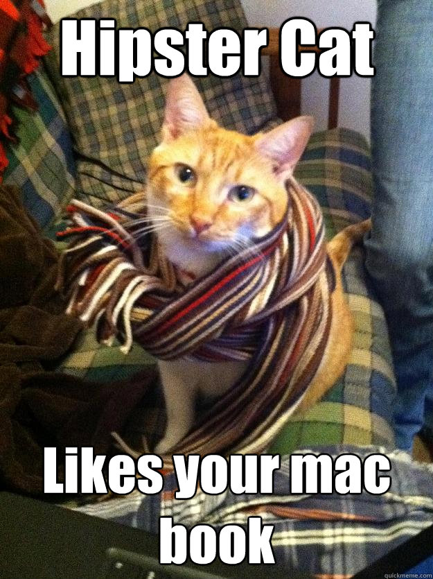 Hipster Cat Likes your mac book  