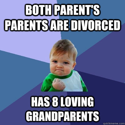 Both Parent's parents are divorced has 8 loving grandparents - Both Parent's parents are divorced has 8 loving grandparents  Success Kid