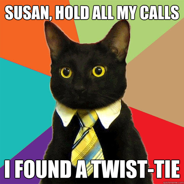Susan, hold all my calls I found a twist-tie  Business Cat