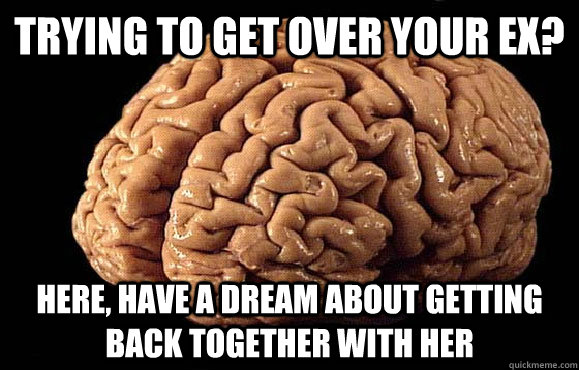 Trying to get over your Ex? Here, have a dream about getting back together with her  Asshole Brain