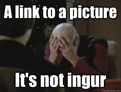 A link to a picture It's not ingur  Picard Double Facepalm