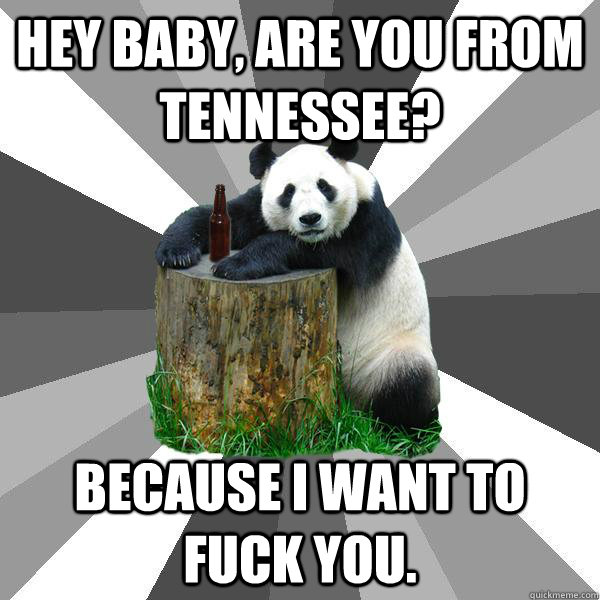 Hey baby, are you from Tennessee? Because I want to fuck you. - Hey baby, are you from Tennessee? Because I want to fuck you.  Pickup-Line Panda