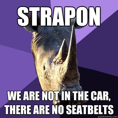 Strapon  we are not in the car, there are no seatbelts   Sexually Oblivious Rhino