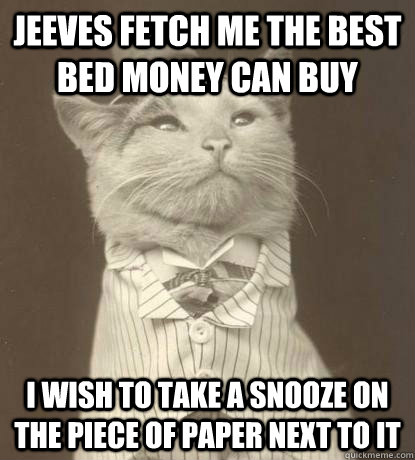 Jeeves fetch me the best bed money can buy i wish to take a snooze on the piece of paper next to it  Aristocat