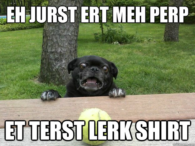 eh jurst ert meh perp et terst lerk shirt - eh jurst ert meh perp et terst lerk shirt  Berks Dog