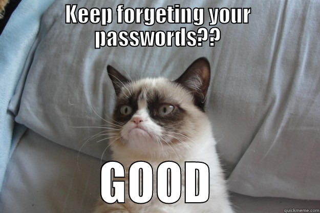 KEEP FORGETING YOUR PASSWORDS?? GOOD Grumpy Cat