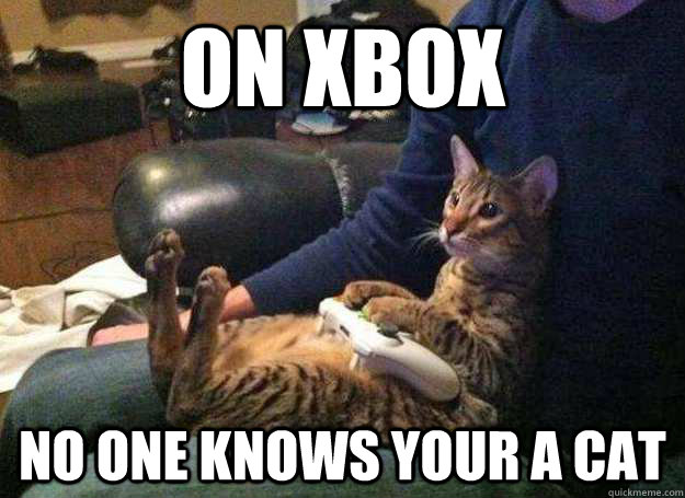 On XBox no one knows your a cat - On XBox no one knows your a cat  on xbox