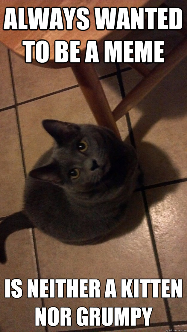 Always wanted to be a meme Is neither a kitten nor grumpy
  