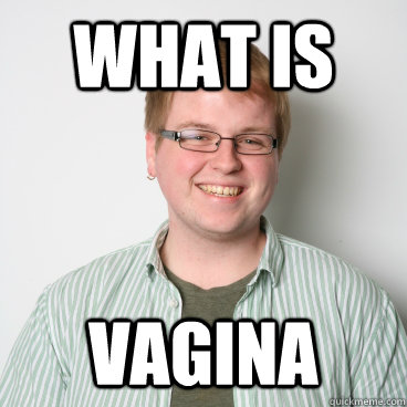 What is Vagina  