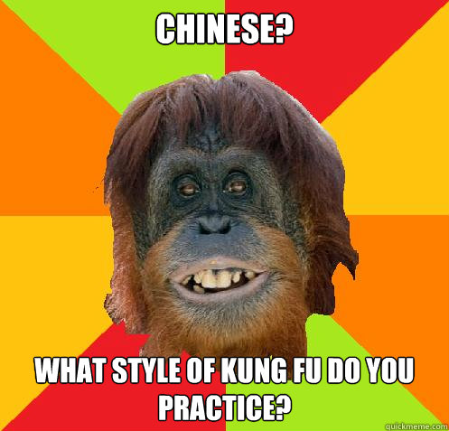 Chinese? What style of Kung Fu do you practice?  Culturally Oblivious Orangutan