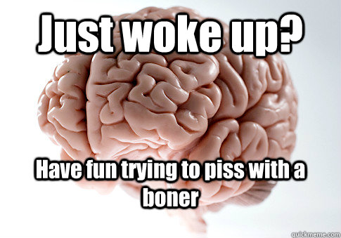 Just woke up? Have fun trying to piss with a boner   Scumbag Brain