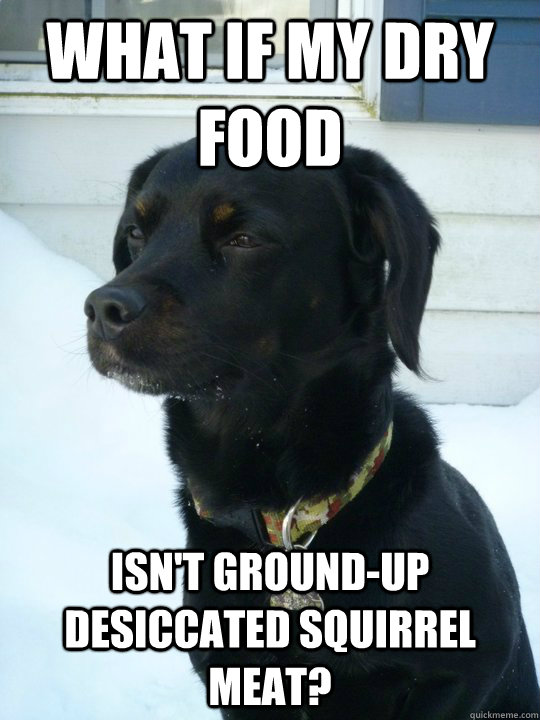 What if my dry food isn't ground-up desiccated squirrel meat? - What if my dry food isn't ground-up desiccated squirrel meat?  Philosophical Puppy