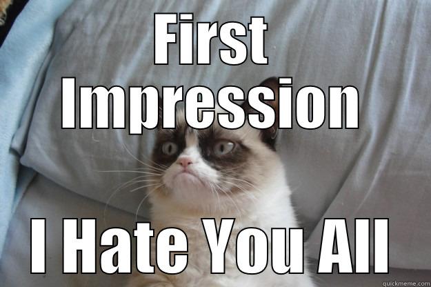 FIRST IMPRESSION I HATE YOU ALL Grumpy Cat