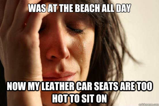 was at the beach all day now my leather car seats are too hot to sit on  First World Problems