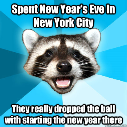 Spent New Year's Eve in New York City They really dropped the ball with starting the new year there  Lame Pun Coon