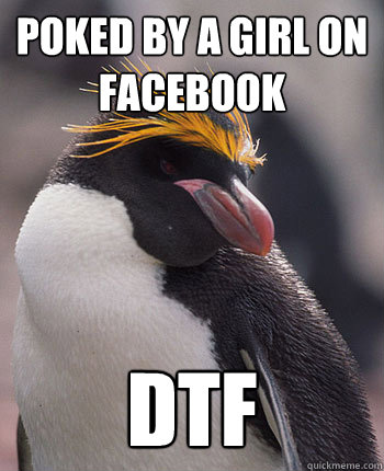 Poked by a girl on facebook DTF - Poked by a girl on facebook DTF  Socially Overconfident Penguin