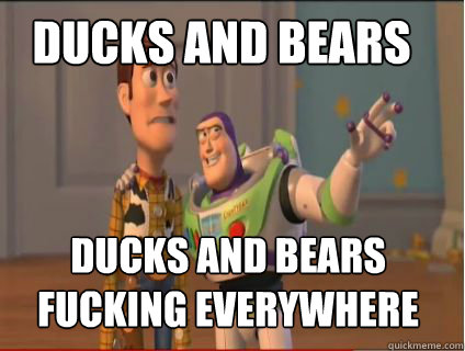 Ducks and bears Ducks and bears fucking everywhere  woody and buzz