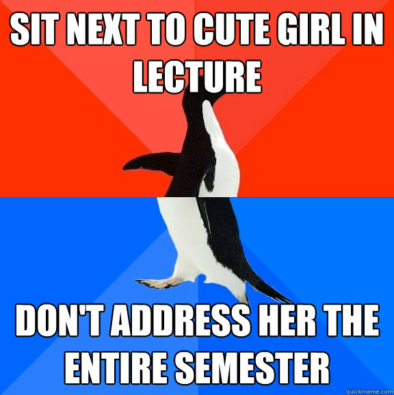 Sit next to cute girl in lecture don't address her the entire semester - Sit next to cute girl in lecture don't address her the entire semester  Socially Awesome Awkward Penguin