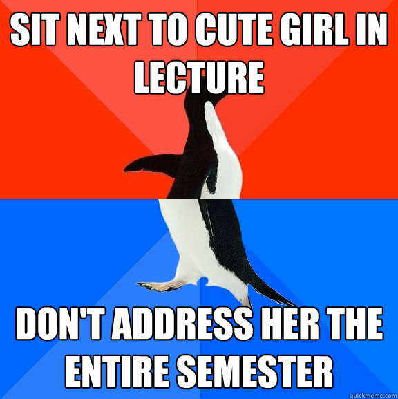 Sit next to cute girl in lecture don't address her the entire semester  Socially Awesome Awkward Penguin