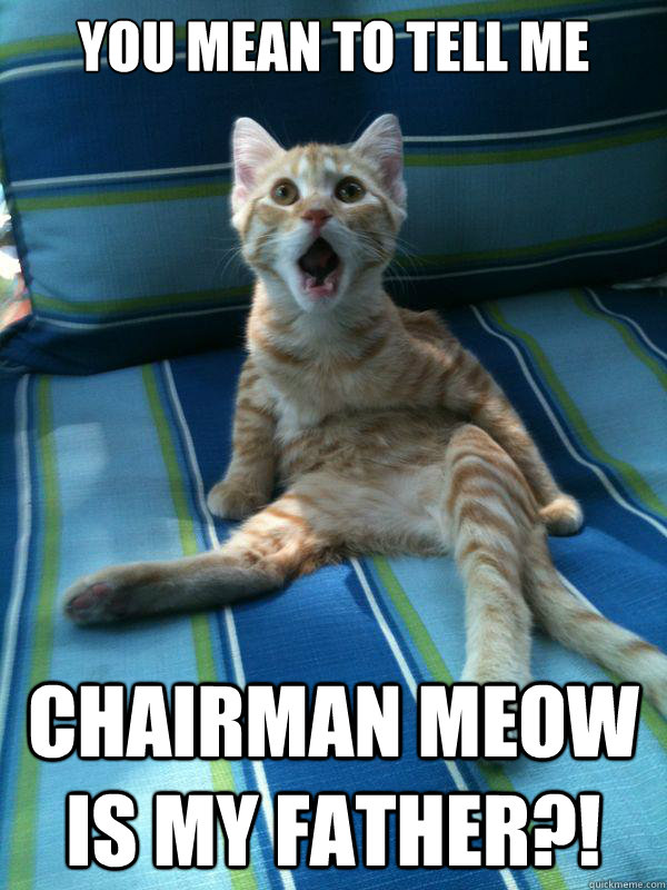 you mean to tell me Chairman Meow is my father?! - you mean to tell me Chairman Meow is my father?!  Misc