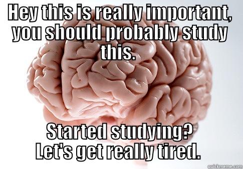 HEY THIS IS REALLY IMPORTANT, YOU SHOULD PROBABLY STUDY THIS.  STARTED STUDYING? LET'S GET REALLY TIRED.  Scumbag Brain