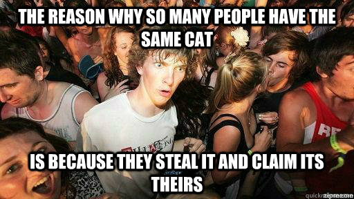 THE REASON WHY SO MANY PEOPLE HAVE THE SAME CAT IS BECAUSE THEY STEAL IT AND CLAIM ITS THEIRS  Suddenly Clarity Clarence