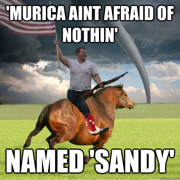'murica aint afraid of nothin' named 'sandy' - 'murica aint afraid of nothin' named 'sandy'  Misc
