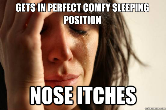 Gets in perfect comfy sleeping position nose itches  First World Problems