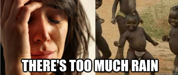 THERE's TOO MUCH RAIN   First world problem third world success