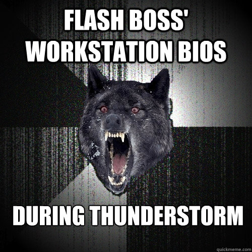 Flash Boss' workstation BIOS DURING THUNDERSTORM  Insanity Wolf
