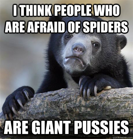 I think people who are afraid of spiders are giant pussies  Confession Bear