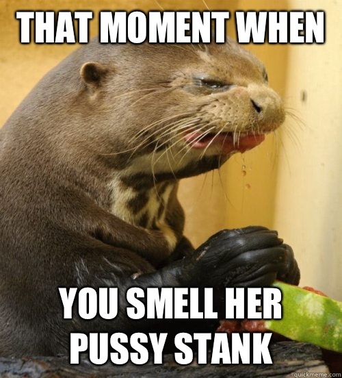 That moment when  You smell her pussy stank - That moment when  You smell her pussy stank  Disgusted Otter