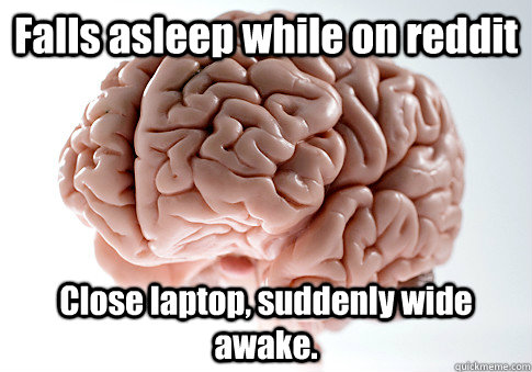 Falls asleep while on reddit Close laptop, suddenly wide awake.  Scumbag Brain