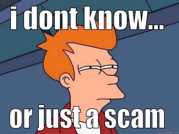 I DONT KNOW... OR JUST A SCAM Futurama Fry