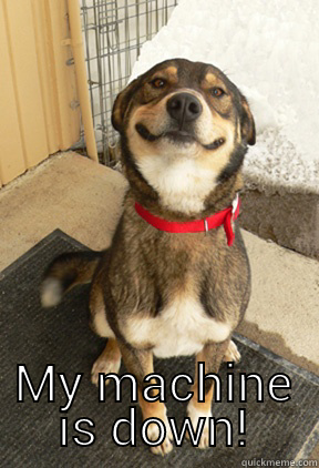  MY MACHINE IS DOWN! Good Dog Greg